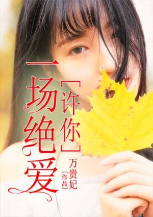 夜的第一章徐正华安小菁简介